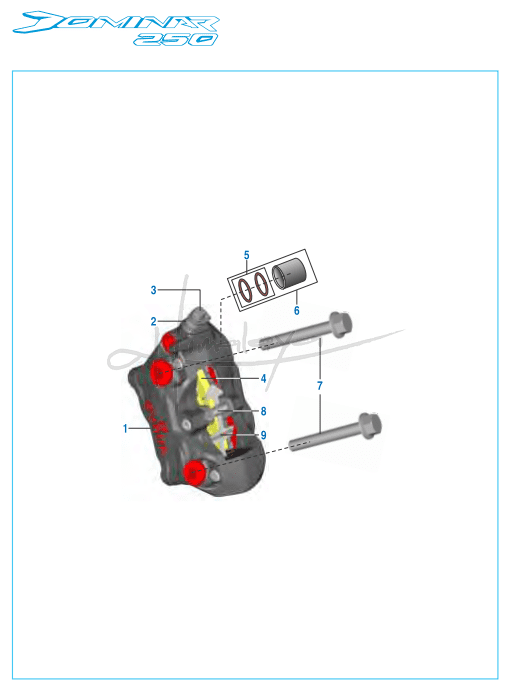 This is an image of Caliper Assembly Front - Dominar 250