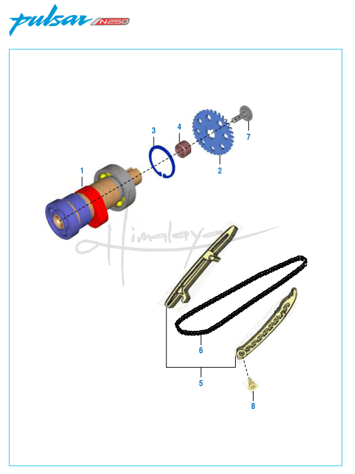 Camshaft Assembly - Pulsar N 250