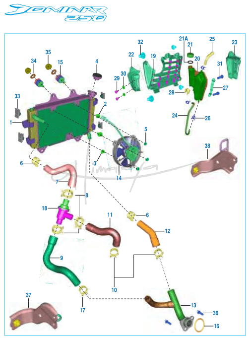 This is an image of Cooling System - Dominar 250