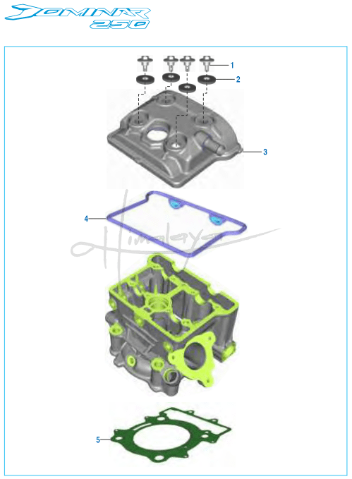 Cover Cylinder Head - Dominar 250