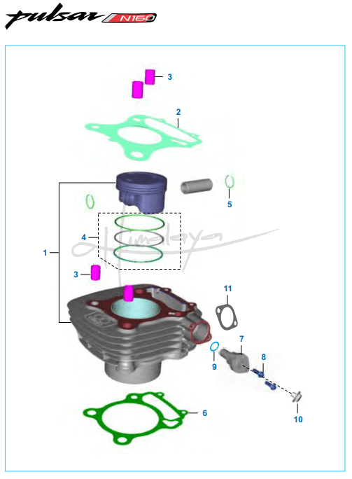 Cylinder and Piston - Pulsar N160 Dual ABS