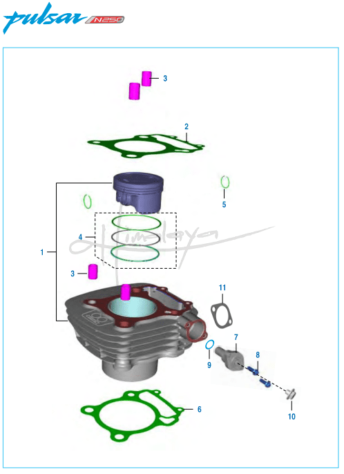 This is an image of Cylinder Piston - Pulsar N 250