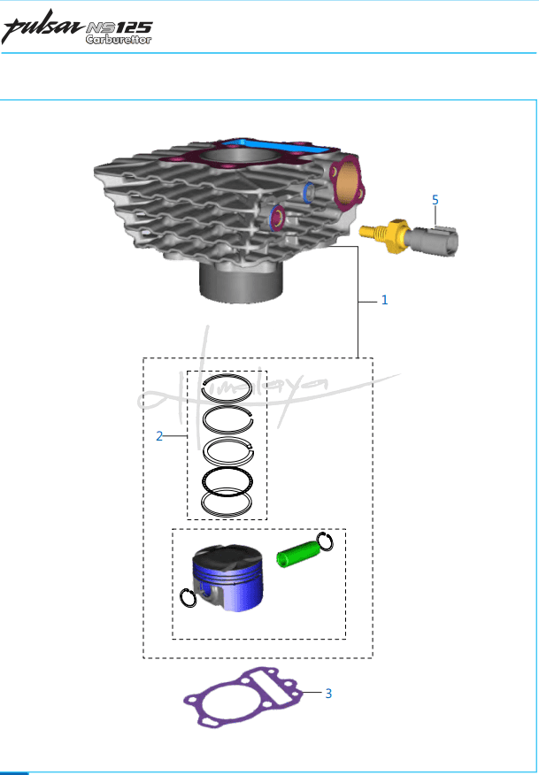 Cylinder and Piston - Pulsar NS 125