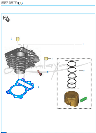 This is an image of Cylinder and Piston - Boxer CT 100 Alloy