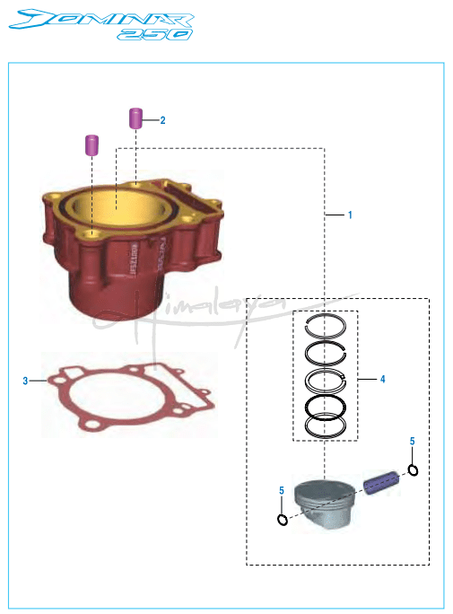 This is an image of Cylinder and Piston - Dominar 250