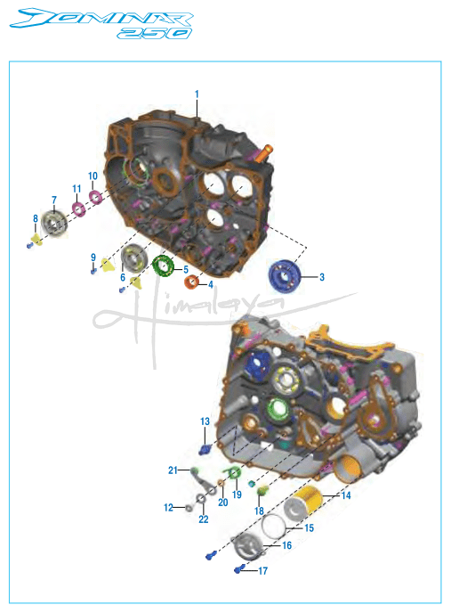 Engine Assembly Crankcase RH - Dominar 250