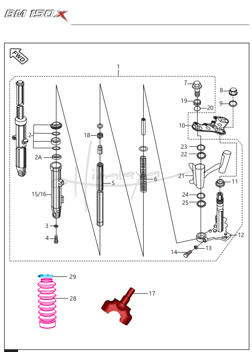 Front Fork - Boxer 150X