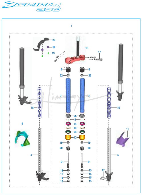 This is an image of Front Fork - Dominar 250