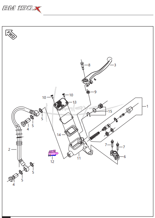 Front Master Cylinder - Boxer 150X