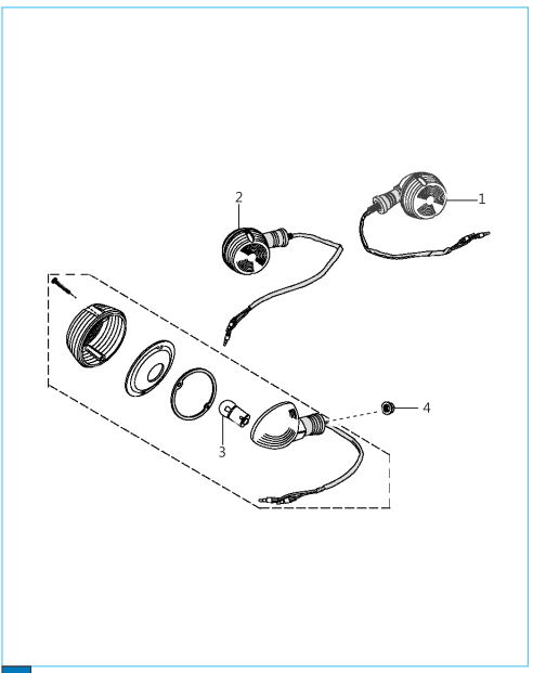 This is an image of Indicator Light Assembly - Boxer S EU3