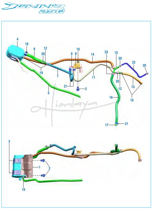 This is an image of Mechanism EVAP - Dominar 250