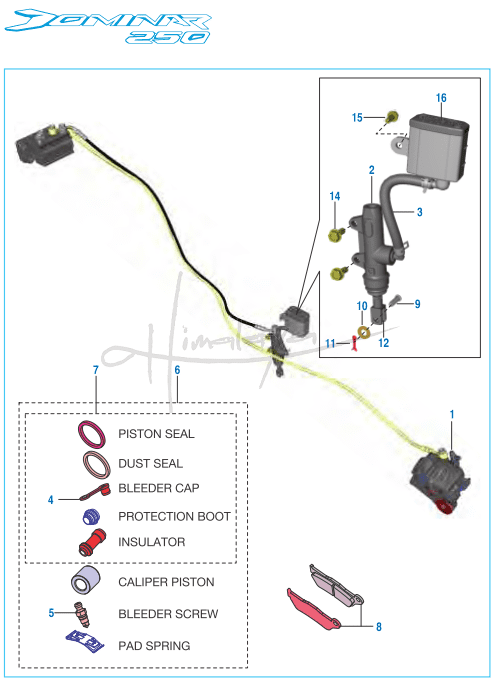 This is an image of Rear Disc Brake Assembly - Dominar 250